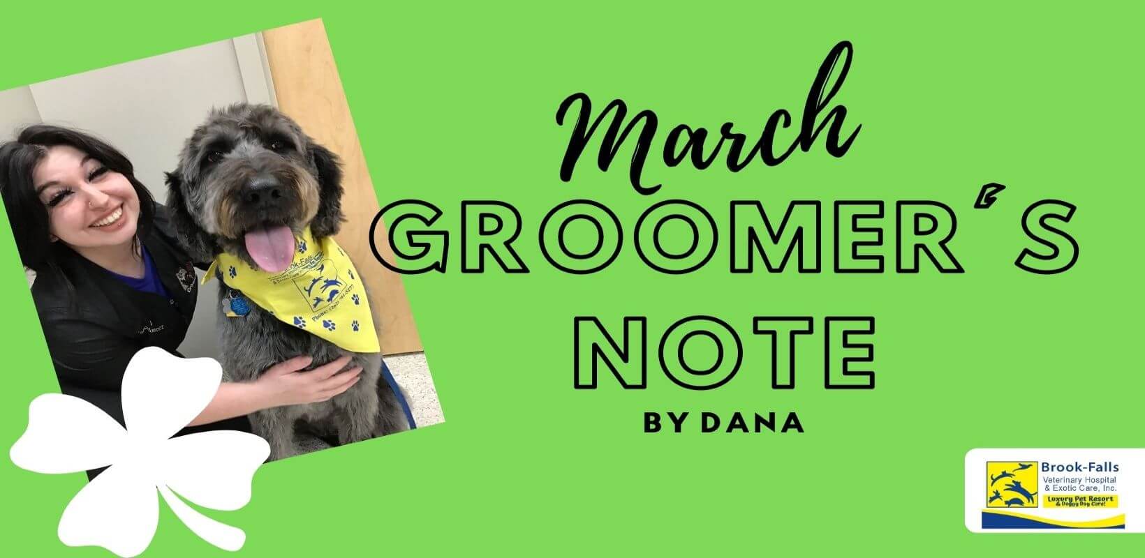 March_grooming_banner_0