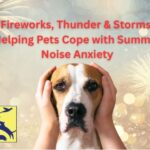 Blog banner