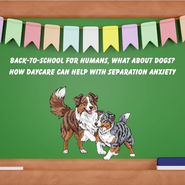Blog banner