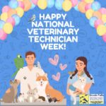Celebrating Our Veterinary Technicians: The Heartbeat of Veterinary Medicine